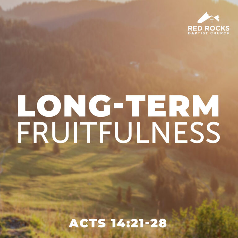 Long-Term Fruitfulness (Acts 14:21-8)